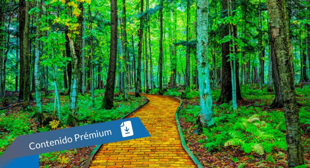 seguridad-newsbook-arrow-vvalley-ireo-ingram-micro-tech-data-exclusive-networks seguridad - Newsbook - Tai Editorial - España