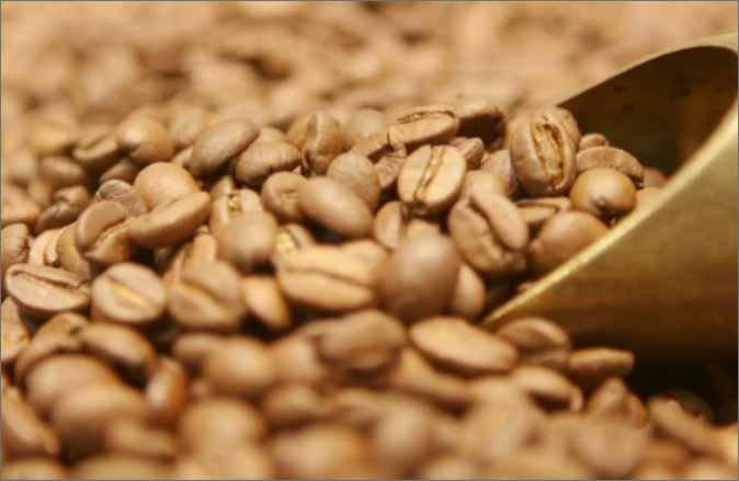 Papel cero, la apuesta de Café Fortaleza de la mano de DocuSign