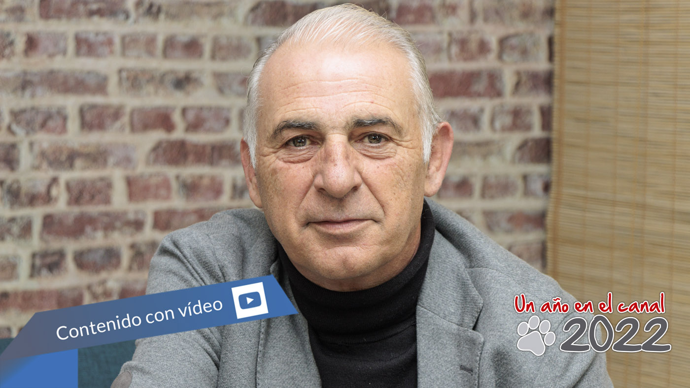 HP Amplify - Newsbook - Tai Editorial - España