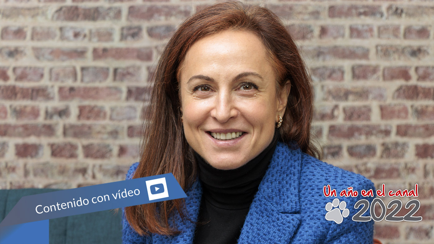 stock - Newsbook - Tai Editorial - España