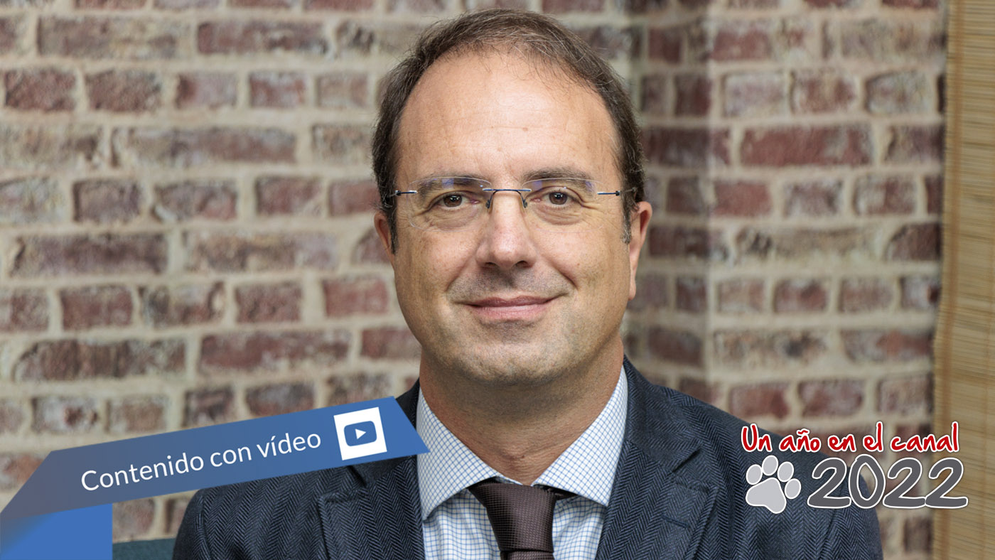 switching - Newsbook - Tai Editorial - España