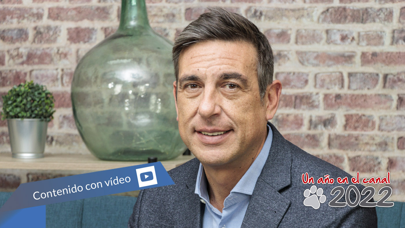 TP-Link -Newbook - Un año en el canal 2022- Tai Editorial - España