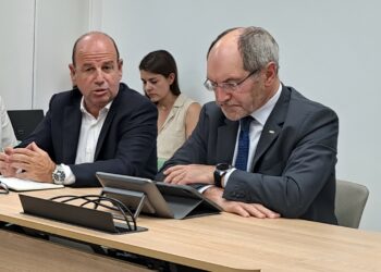 Luis Pardo - Newsbook - AMETIC - Tai Editorial España