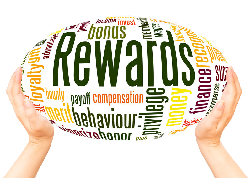 Zebra - incentivos - Newsbook- Rewards