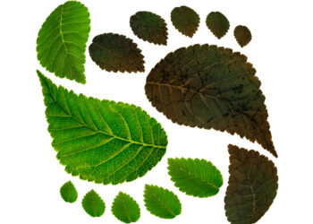 Schneider Electric - Newsbook - TAI Editorial - España