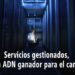 Servicios gestionados, un ADN ganador para el canal