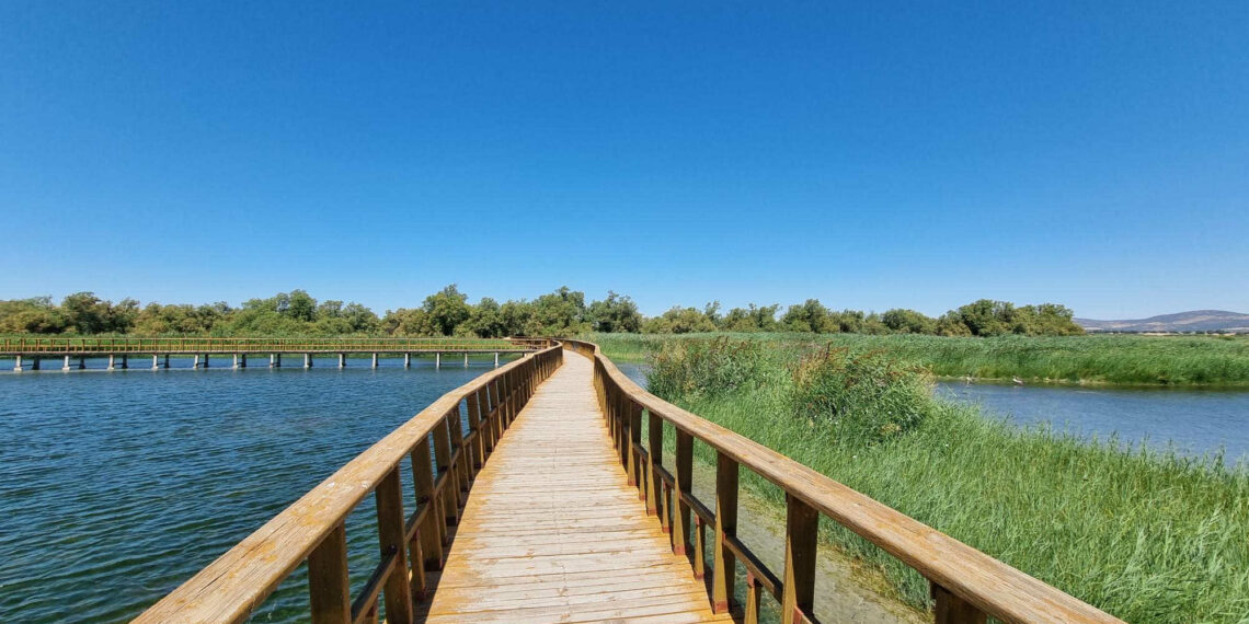 Tai Editorial - Newsbook - Tai Editorial - España