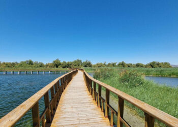 Tai Editorial - Newsbook - Tai Editorial - España