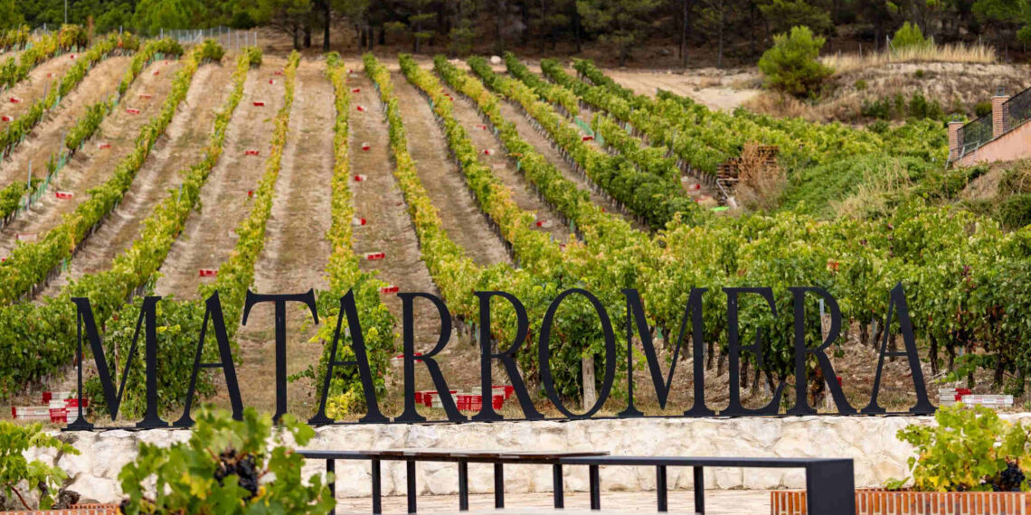 cloud - Newsbook - Tai Editorial - España