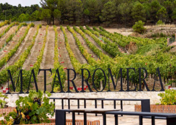 cloud - Newsbook - Tai Editorial - España