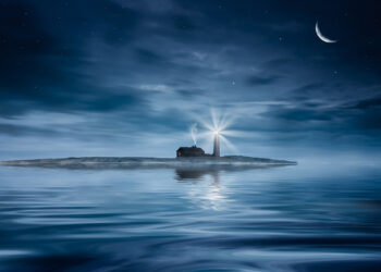 Netapp Managed Services - Newsbook - Tai Editorial - España