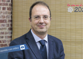 estrategia Dlink- Newsbook - Tai Editorial - España