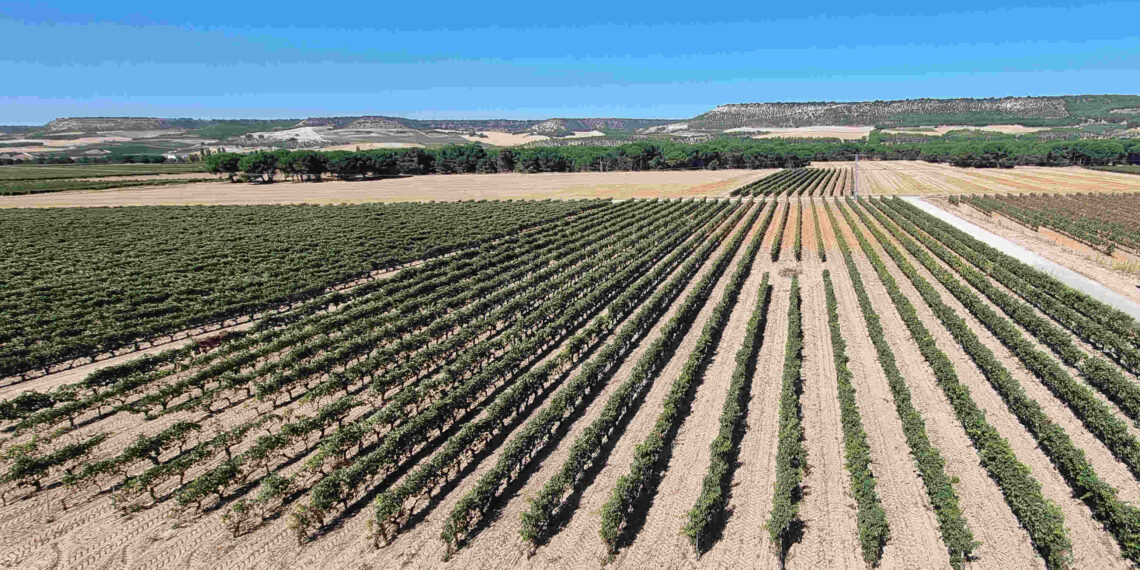 V-valley cloud summit - Newsbook - tai Editorial - España