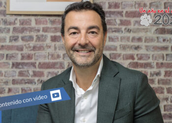 Arrow - Newsbook - Tai Editorial - España